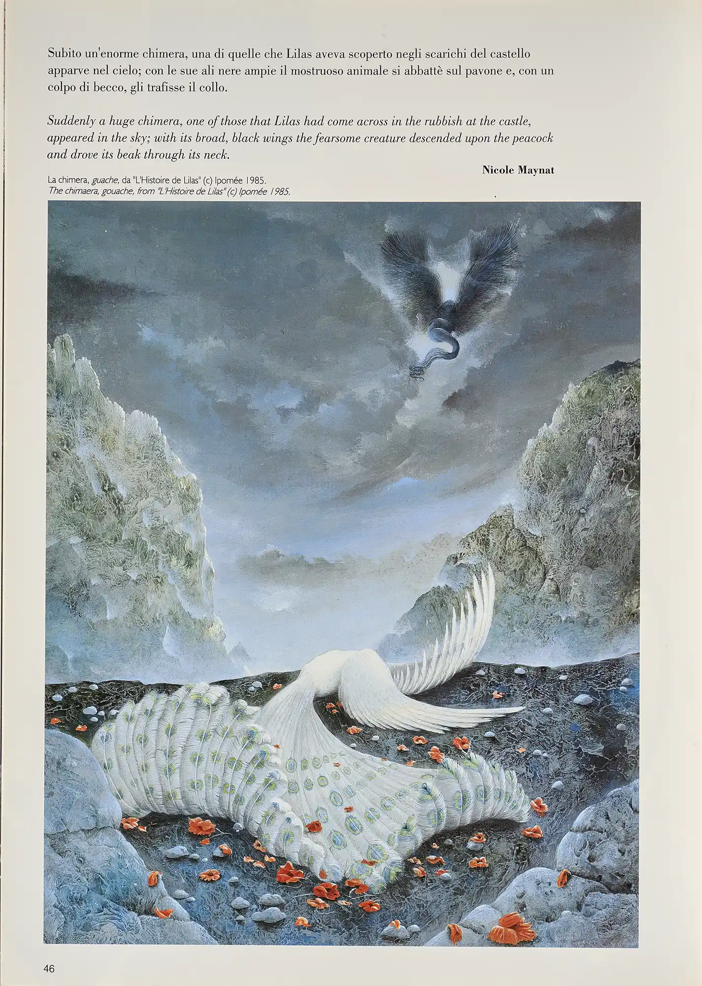 Pagina 48