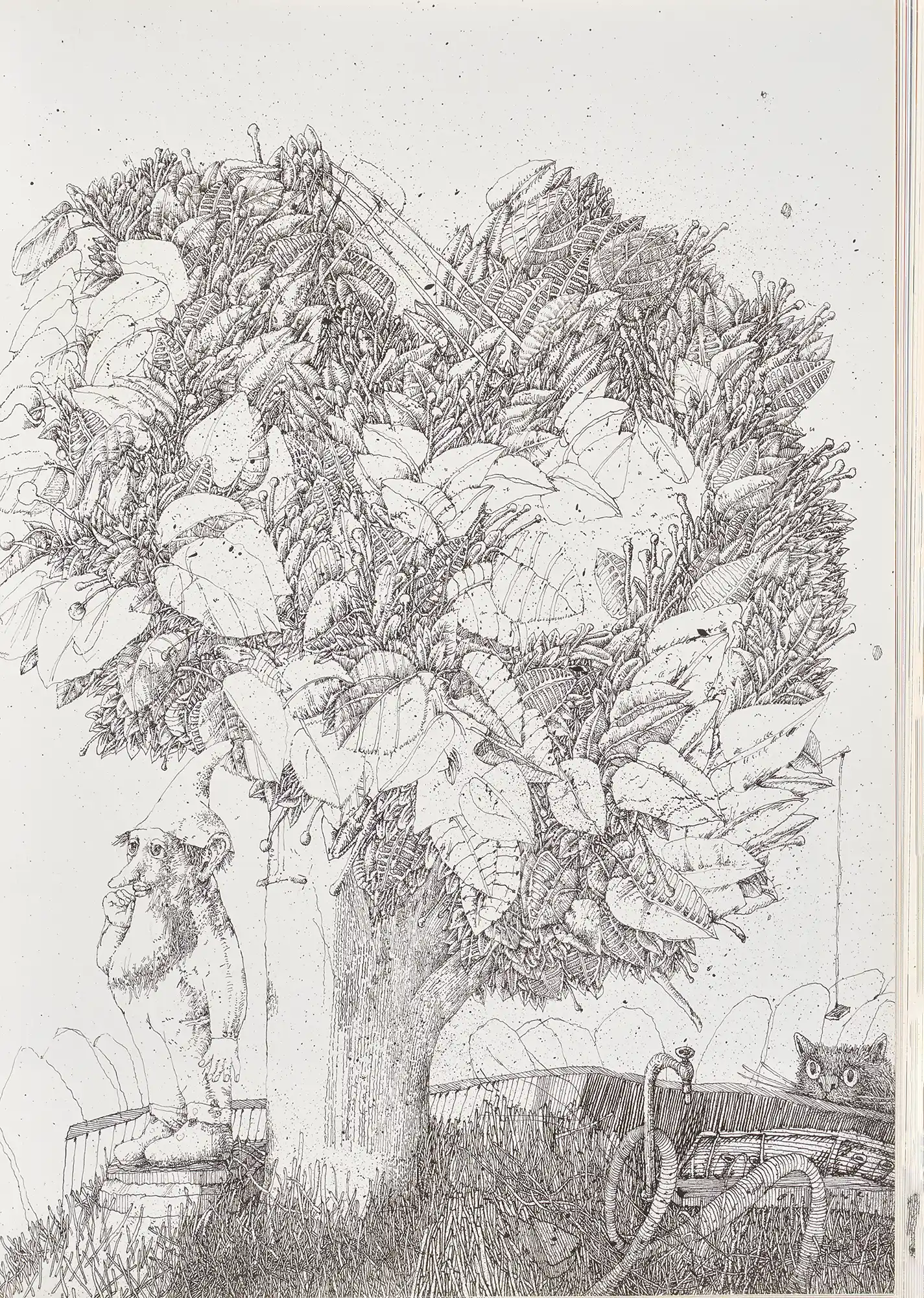 Pagina 47