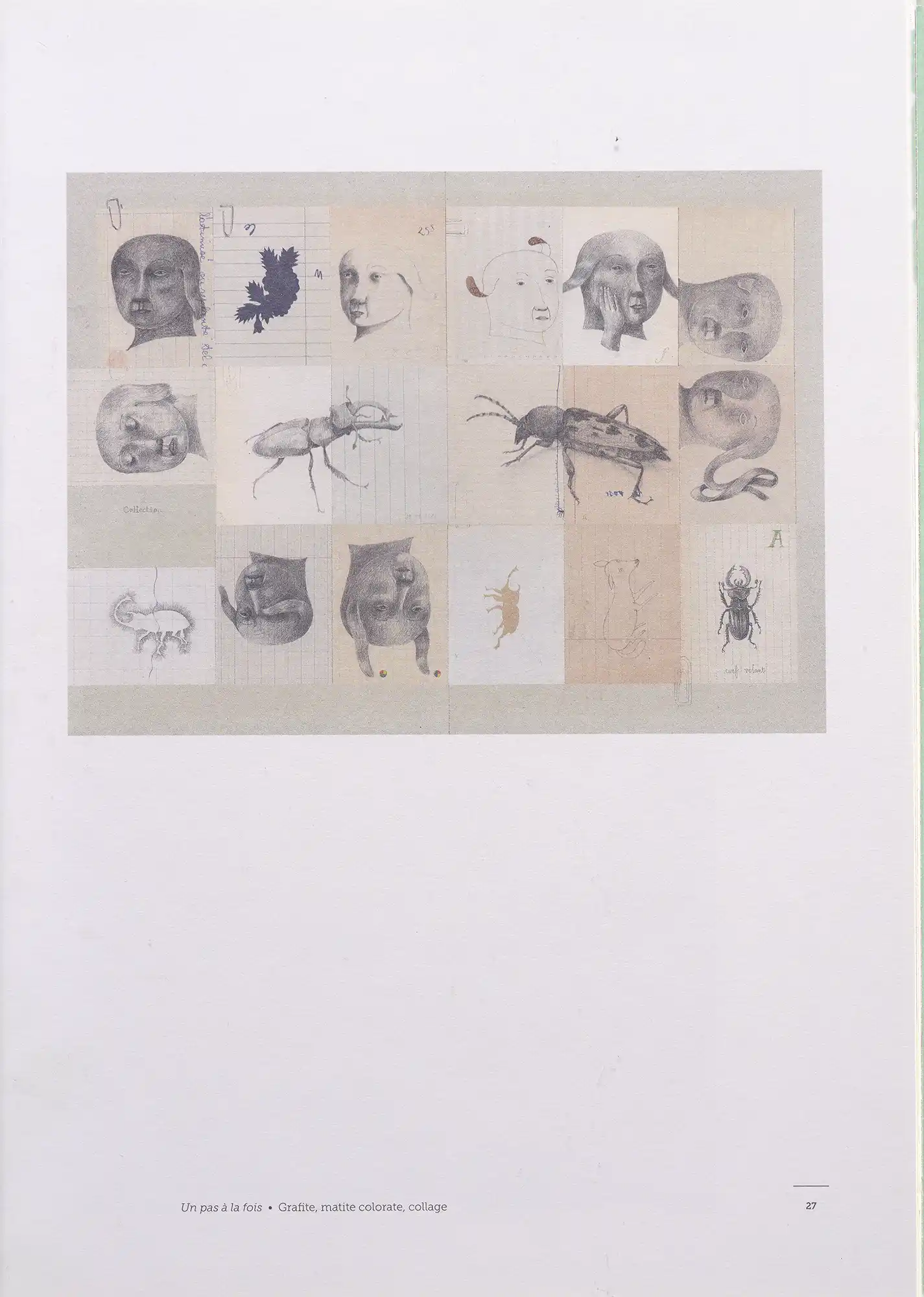 Pagina 29
